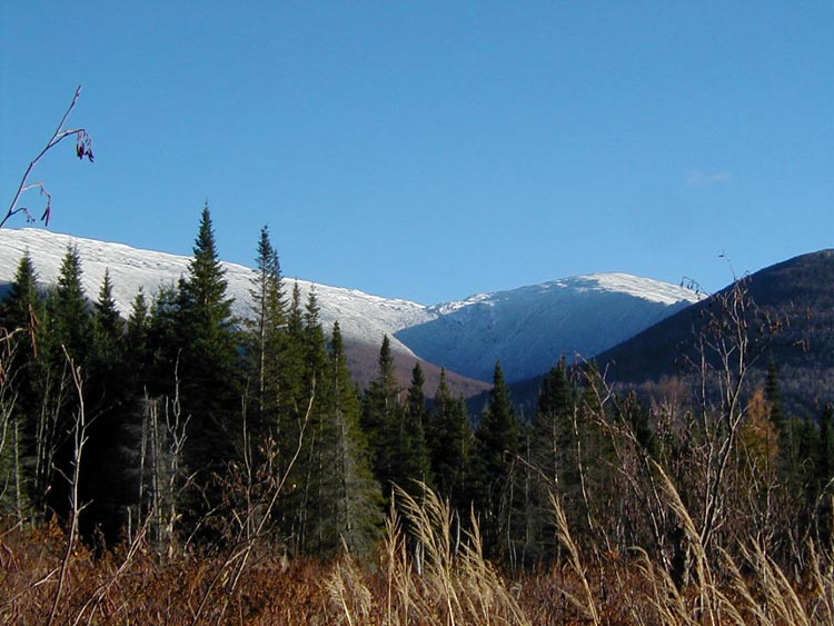 Ridge
